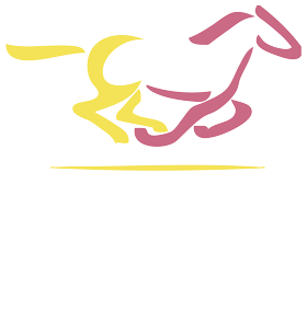 Centro de Medicina Deportiva Equina