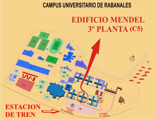 Plano del Campus de Rabanales