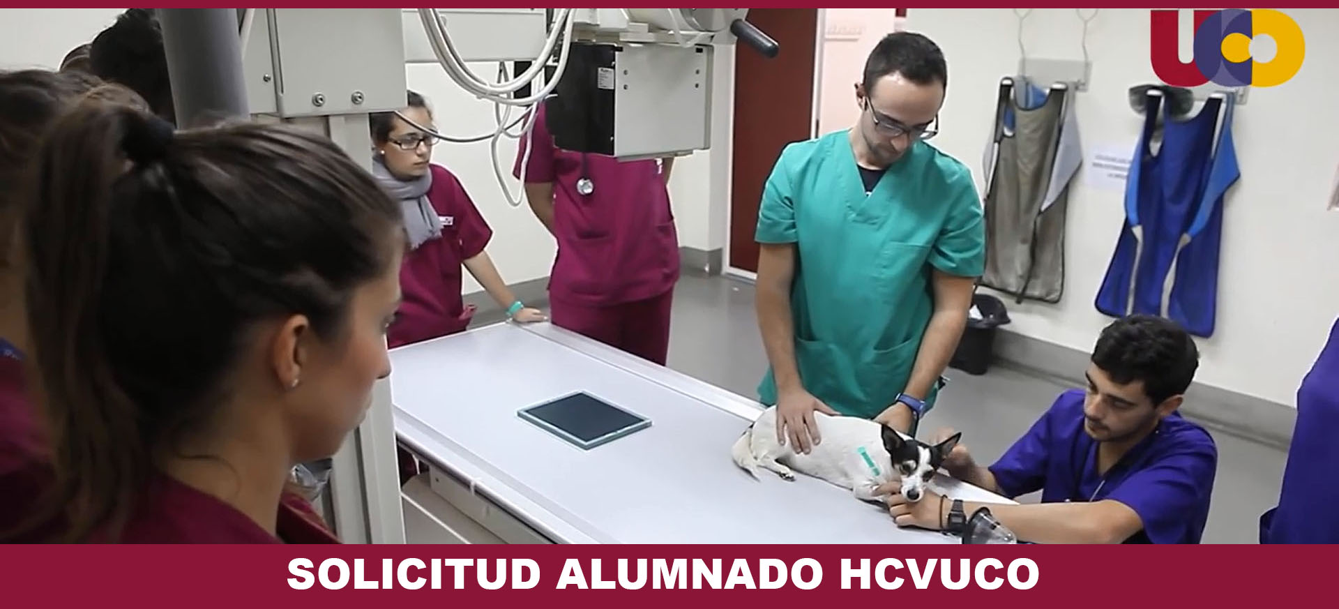 Alumno HCV-UCO