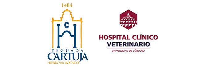 Logos-hcv-yeguada