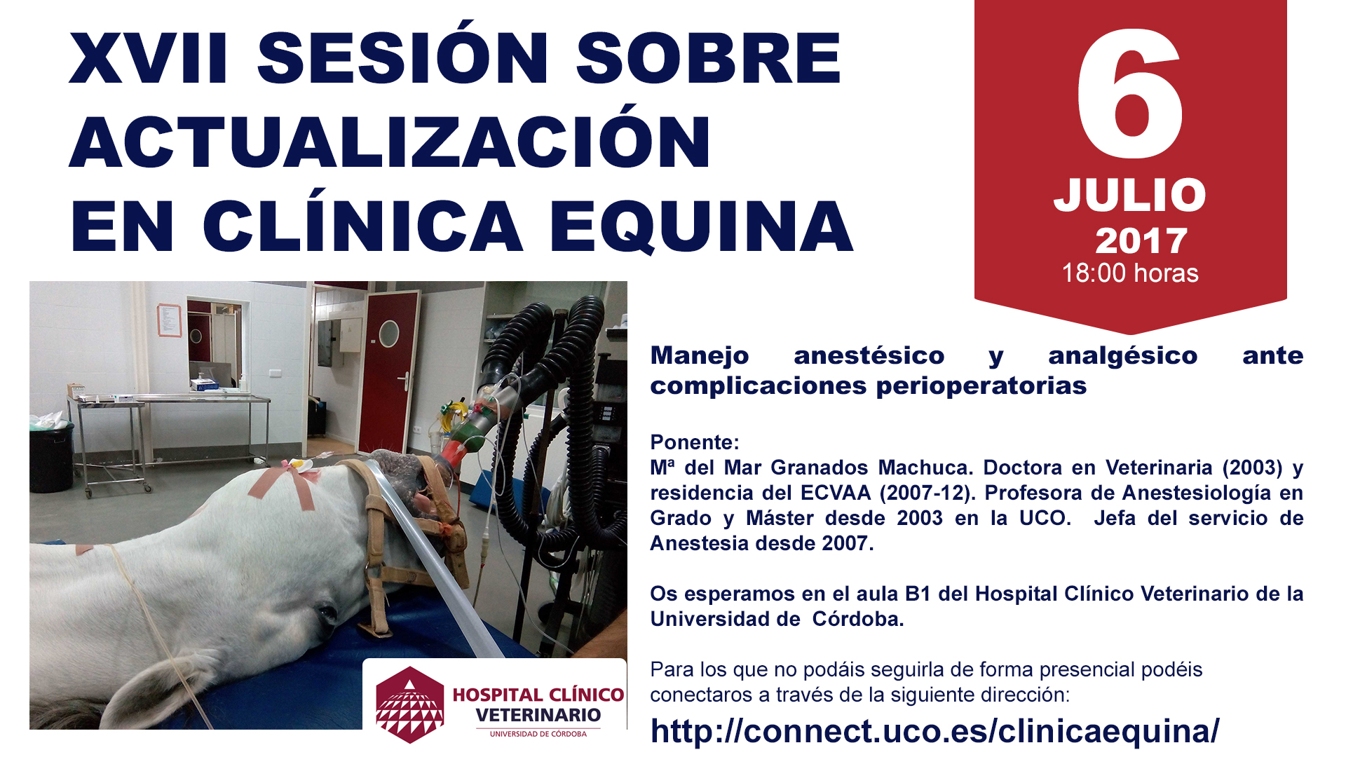 17_SESIONCLINICAEQUINAHCV