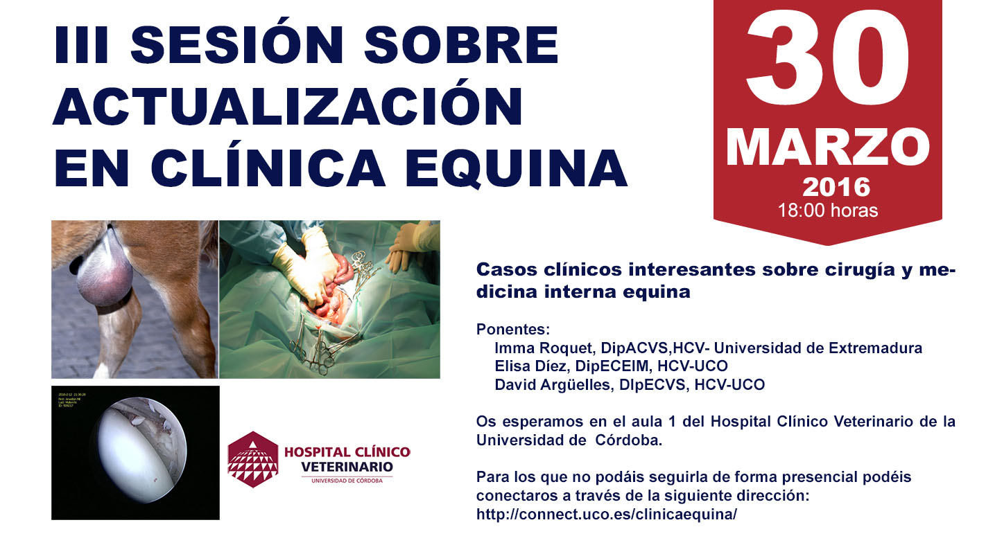 3SESIONCLINICAEQUINAHCV-22.jpg