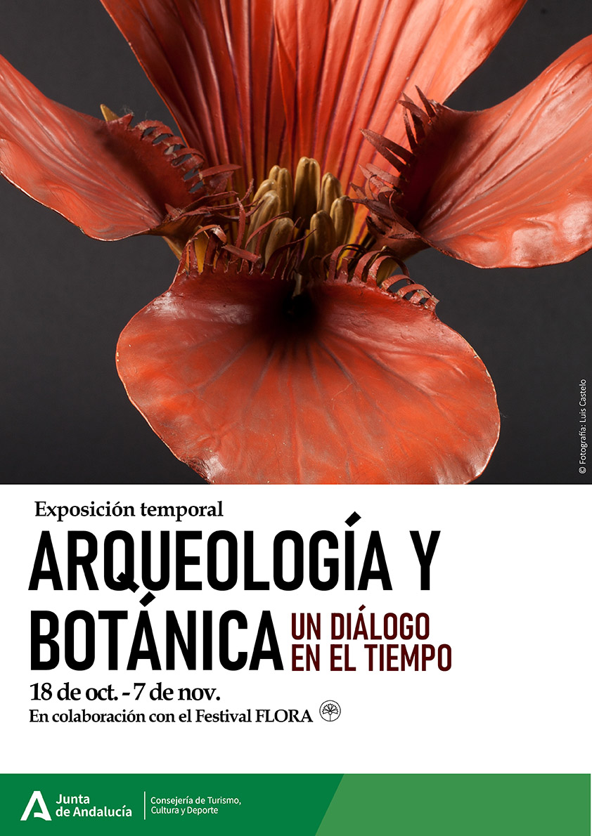 arqueologia botanica