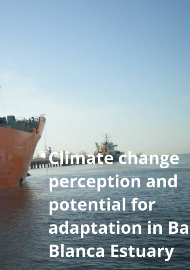 Climate change perception and potential for adaptation in Bahía Blanca Estuary
