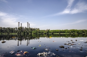 Premian un proyecto de investigación de la UCO sobre residuos acuáticos y economía circular