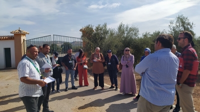 Organismos olivícolas internacionales visitan el olivar andaluz dentro del proyecto NENA  de la FAO