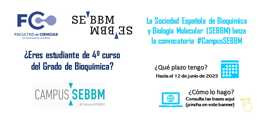 Banner Concurso SEBBM