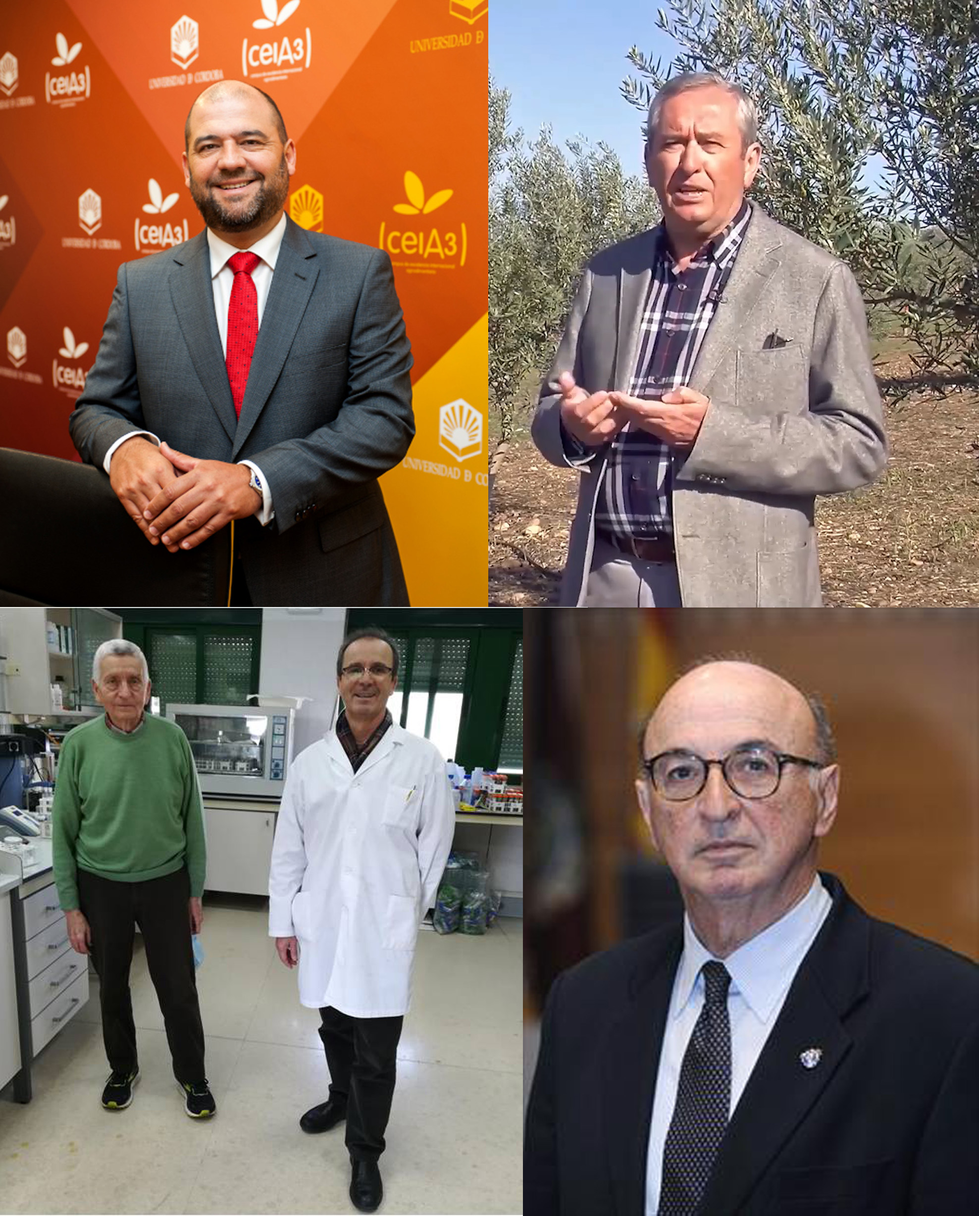 Los cinco catedráticos incluidos en el listado de científicos con mayor impacto del mundo