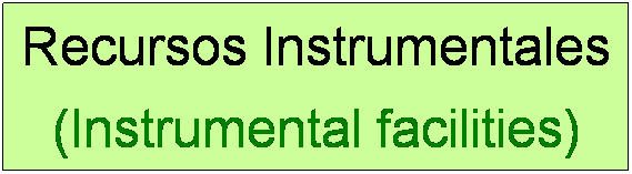 Cuadro de texto: Recursos Instrumentales
(Instrumental facilities)
