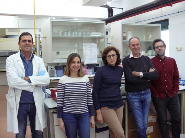 Miembros del equipo de investigación AGR-114 &quot;Mejora Genética Vegetal&quot;, dirigido por el profesor Juan Gil.