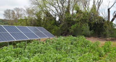 La agrivoltaica combina la producción de energía solar y la agricultura en un mismo terreno