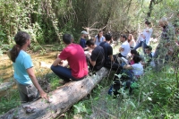 Voluntarios de la UCO analizan el estado ambiental del arroyo Rabanales