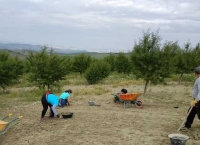 La Universidad de Córdoba inicia las excavaciones en búsqueda del anfiteatro romano de Torreparedones 