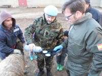 Veterinarios de la Universidad de Córdoba ayudan en Líbano a mejorar la ganadería de la zona