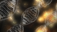Rebaten una de las creencias sobre el ADN más extendidas entre los expertos en genética