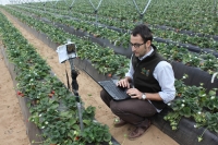 La UCO obtiene un premio al mejor trabajo en aplicaciones mviles y software para horticultura 