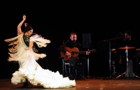 Gala Flamenca de la Universidad de Córdoba