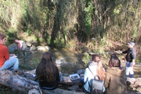 Voluntarios de la UCO participan en el Programa Andarríos en el arroyo Rabanales