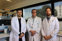 Un trabajo internacional avanza en tratamientos más específicos para el cáncer de próstata