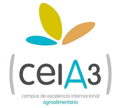 Retransmisión de la presentación de los proyectos CEI en Madrid