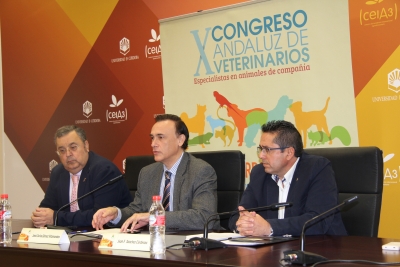 De izquierda a derecha, Antonio Arenas, Jos Carlos Gmez Villamandos y Juan Francisco Snchez Crdenas, durante la rueda de prensa.