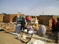 La Universidad envía ayuda a los campamentos saharauis de Tindouf afectados por las inundaciones