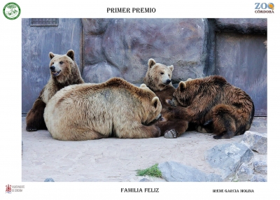 IV Certamen de Fotografía  de Comportamiento de animales de ZOO entre el Zoo de Córdoba y la Facultad de Veterinaria