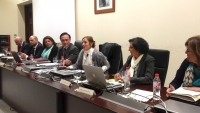 Intervención de Anabel Carrillo ante los integrantes del Consejo de Gobierno.