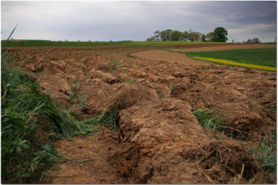 El control de esta erosión permite a los profesionales del sector conocer la situación de los campos y evitar la pérdida y deterioro de las zonas de cultivo