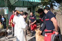 Más de un centenar de mascotas son bendecidas en el Día de San Antón