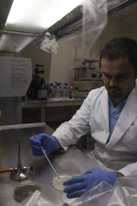 El investigador Meelad Yousef trabaja con un cultivo de hongos Metarhizium brunneum en un laboratorio del campus de Rabanales.