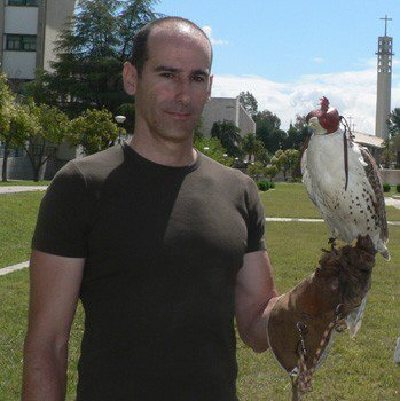 La Universidad de  Córdoba desarrolla un proyecto de hacking destinado a lograr la reintroducción del halcón peregrino.