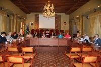 Vista general del Pleno del Consejo Social durante su sesión ordinaria