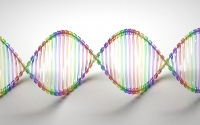 El “copiapega” molecular da un nuevo paso para evitar los procesos de alteración epigenética del cáncer