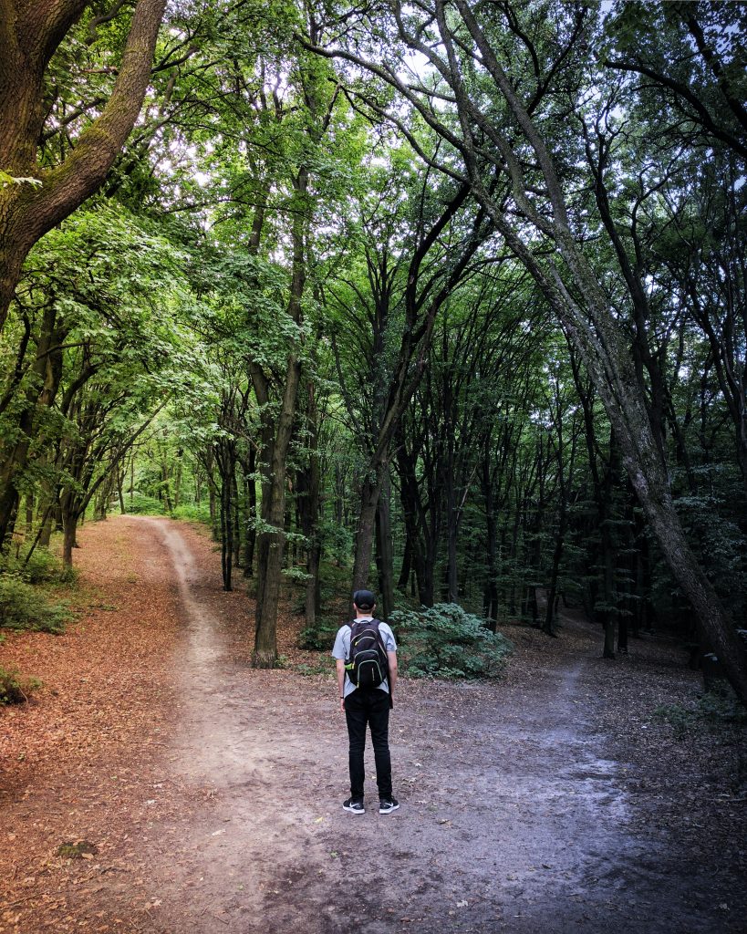 Un hombre caminando en el bosque

Descripción generada automáticamente