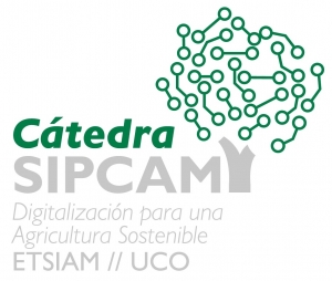 SP logo Catedra Sipcam D e1604393781532 300x254 1