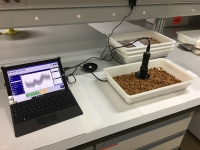 New technology to detect bitter almonds in real time