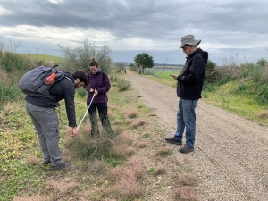 El equipo de investigación midiendo algunos arbustos en la Vía Verde