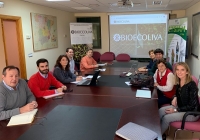 La UCO investiga la optimización económica y ambiental en almazaras andaluzas