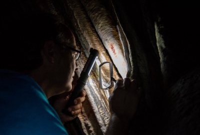 El investigador José Luis Sanchidrián en la Cueva de Nerja