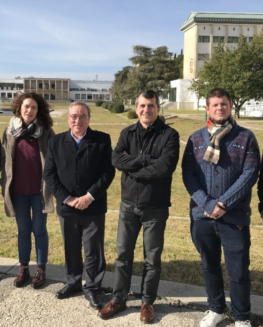 De izquierda a derecha de la imagen, Dolores Esquivel, César Jiménez, José Rafael Ruiz y Daniel Cosano, del Departamento de Química Orgánica de la UCO y autores del estudio.