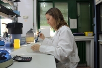 La investigadora Patricia Castro, autora de la investigación en la UCO, en el laboratorio.