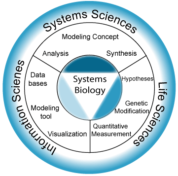 Icono Biologa de Sistemas