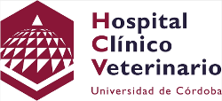 Hospital Clínico Veterinario