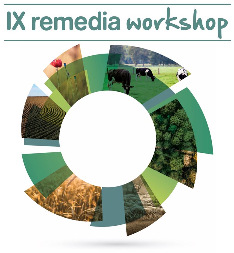 Logo remedia 4