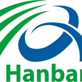 Logo Hanban