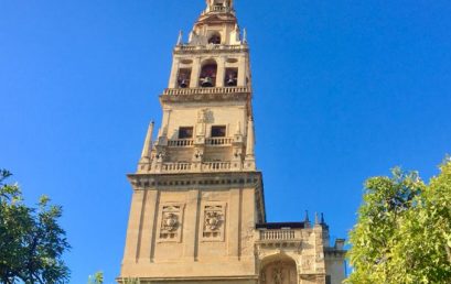 UCOidiomas Students of Spanish Visit Córdoba’s Mosque-Cathedral