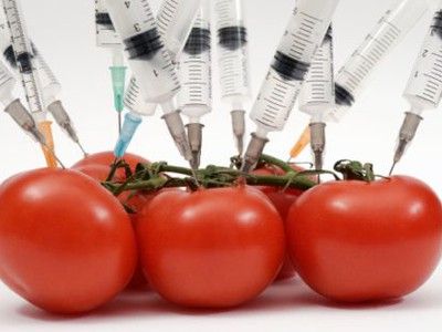 genetically modified food tomatoes syringes photo.jpg.400x300 q90 crop smart
