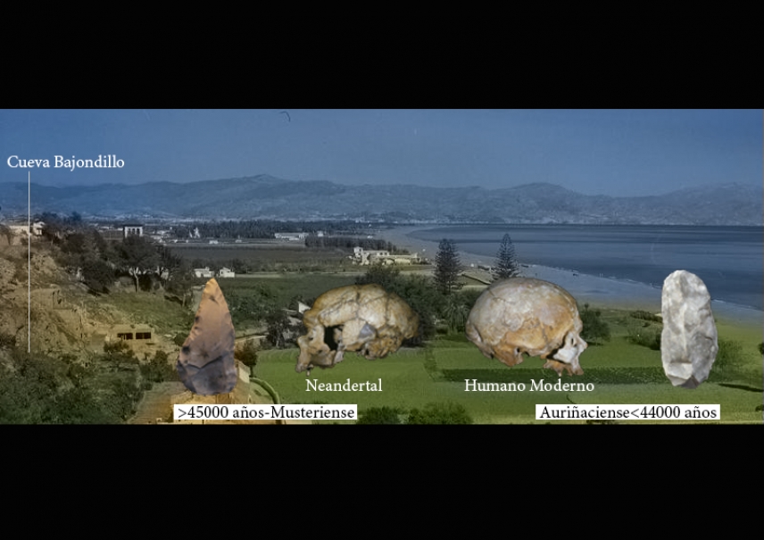 Modern humans replaced Neanderthals in southern Spain 44,000 years ago