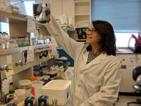 The Researcher María Agustina Dominguez during her work on lab